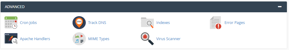 cPanel Advanced Section