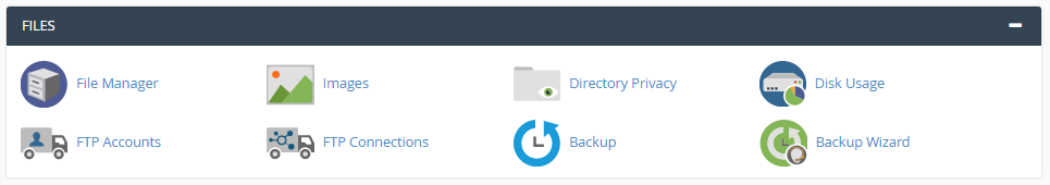 cPanel Files Section