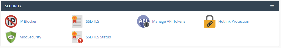 cPanel Security Section