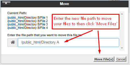 File Manager Enter New File Path