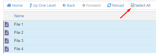 File Manager Select all Files