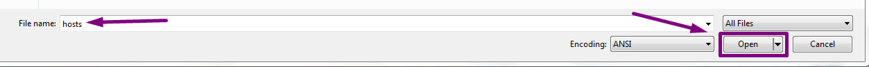 Open Host File