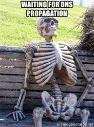 Waiting for DNS Propagation