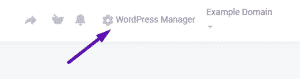 WordPress Manager Link