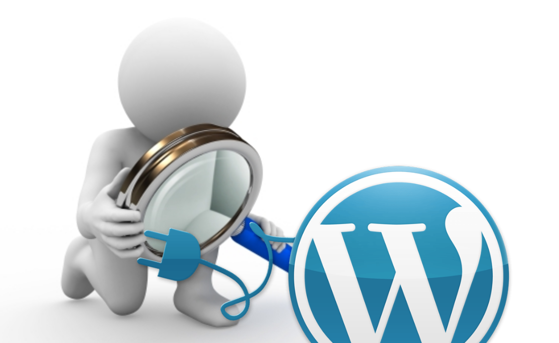 Hardening WordPress - Audit WordPress Themes and Plugins