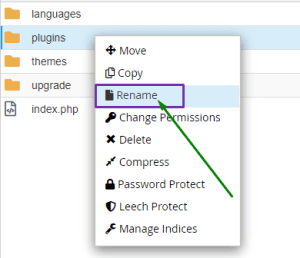 Rename Plugins Folder