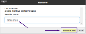 how to rename plugins folder in wordpress