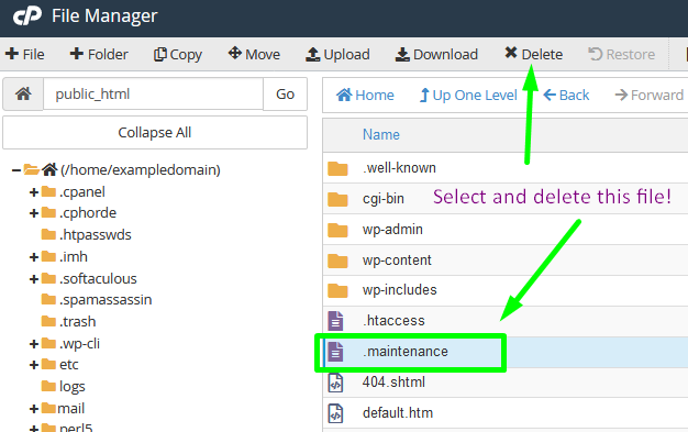 Delete .maintenance File in WordPress