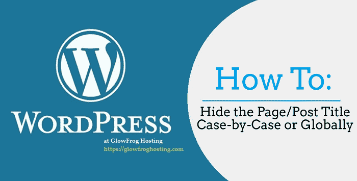 how to hide the page and post title in wordpress