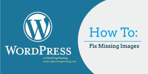 How to Fix Missing Images in WordPress - GlowFrog Hosting